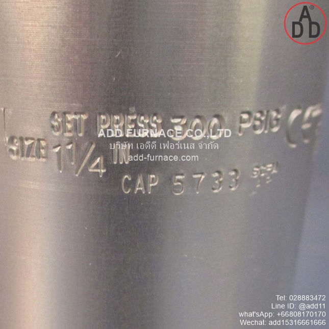 Rego AA3135A300 Safety Relief Valve (3)